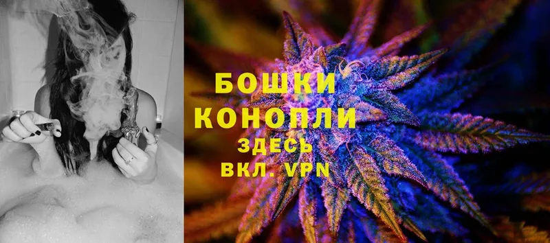 Канабис White Widow  Лодейное Поле 